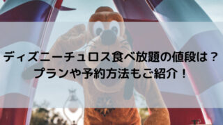 ディズニーチュロス食べ放題の値段は プランや予約方法もご紹介 ディズニーラブ