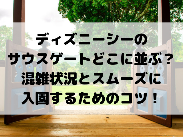 ディズニーシーのサウスゲートどこに並ぶ？混雑状況とスムーズに入園するためのコツ！